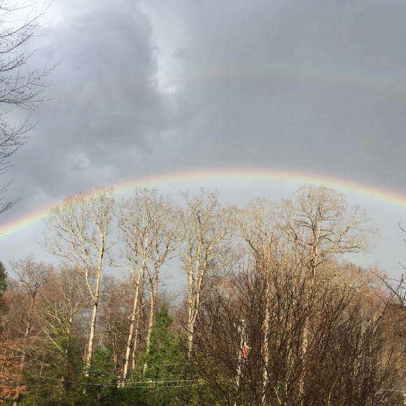 Meet your Posher, Alexis - Picture 1 of 1